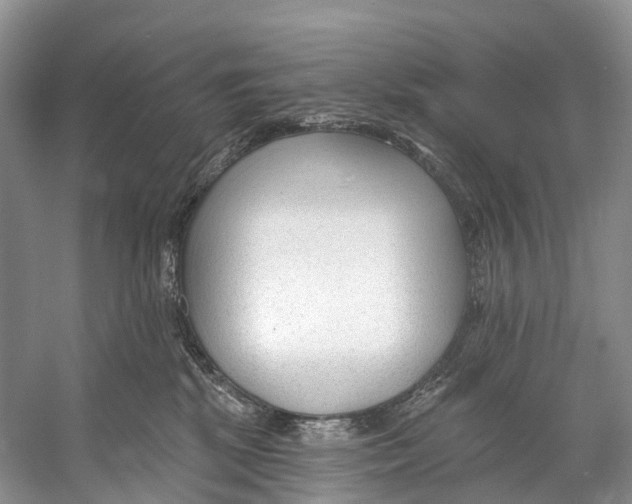 X0000053160281200508081445