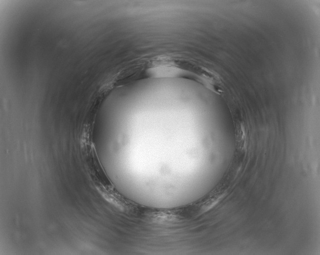X0000053160284200508081445
