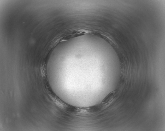 X0000053160285200508081445