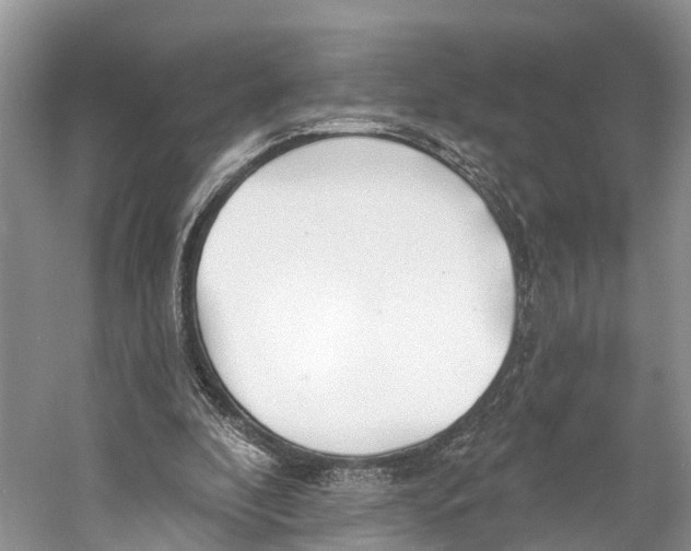 X0000053160296200508081444
