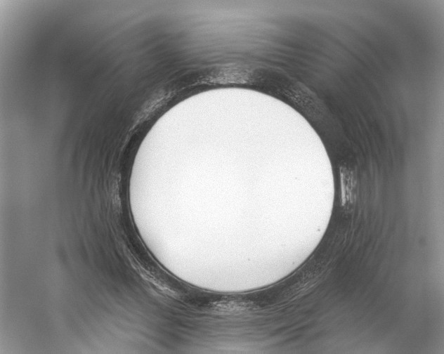 X0000053160300200508081444