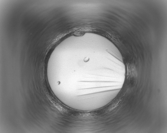 X0000053160301200508081444