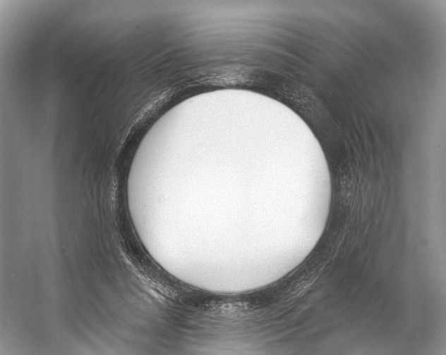 X0000053160304200508081444