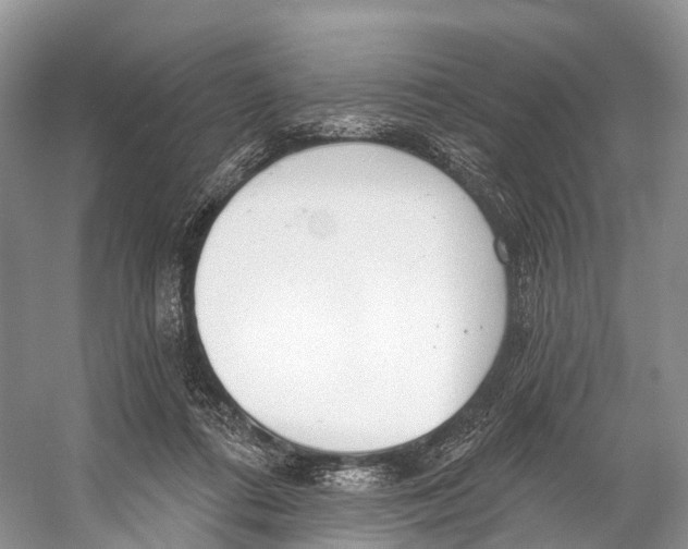 X0000053160312200508081444