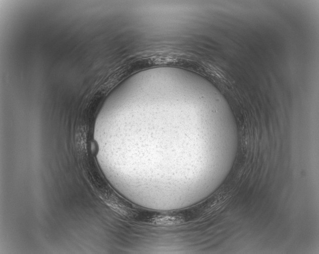 X0000053160315200508081444