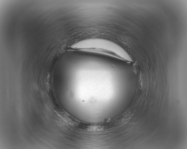 X0000053160319200508081443