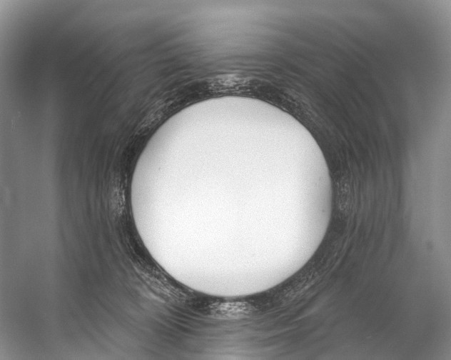 X0000053160324200508081443
