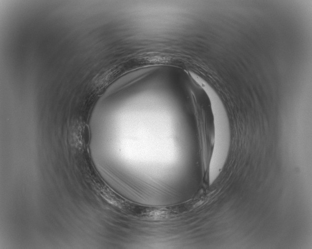 X0000053160325200508081443