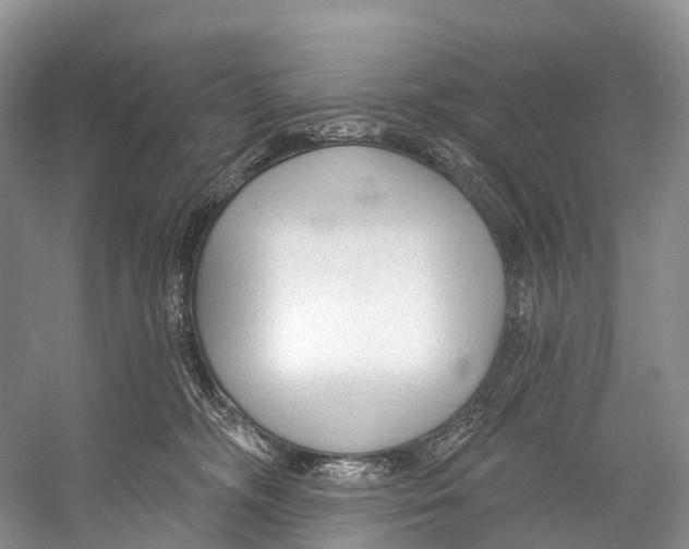 X0000053160326200508081443
