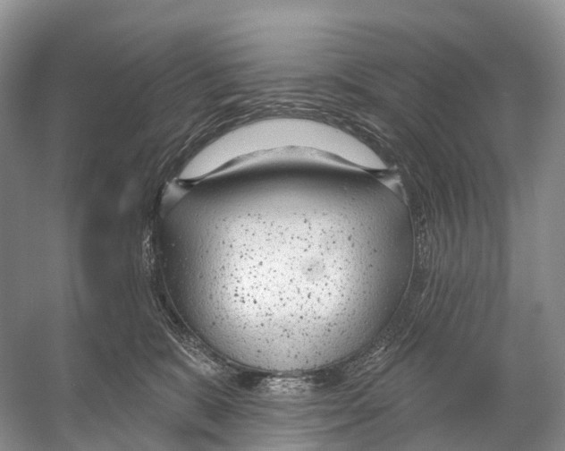 X0000053160327200508081443