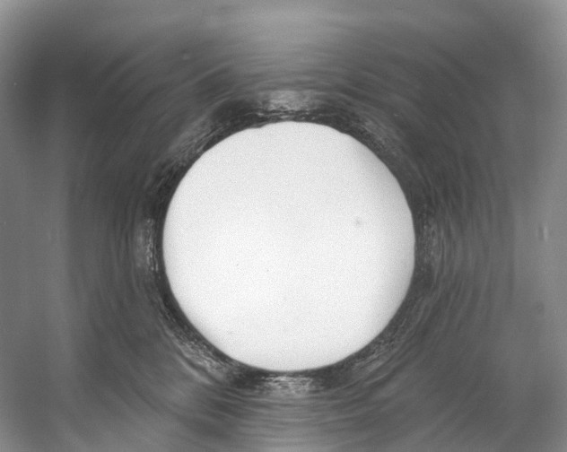 X0000053160328200508081443