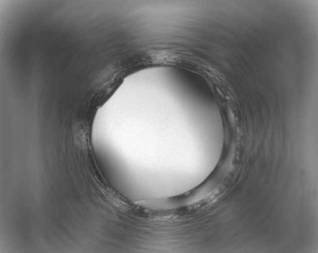 X0000053160329200508081443