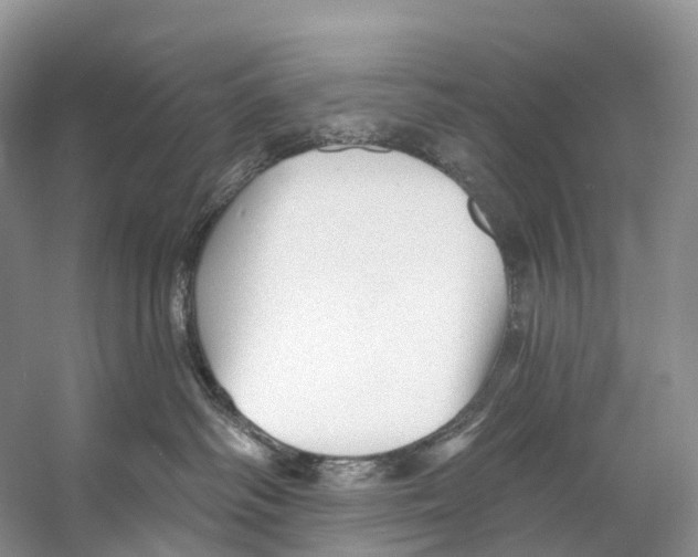 X0000053160334200508081443