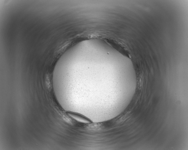 X0000053160335200508081443