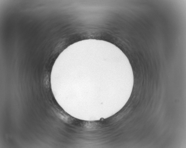 X0000053160336200508081443