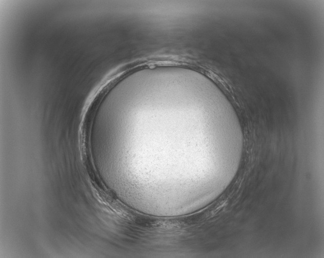 X0000053160343200508081442