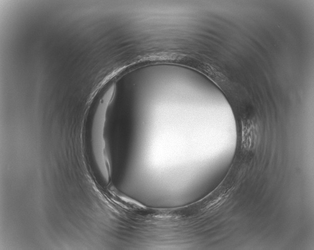 X0000053160348200508081443
