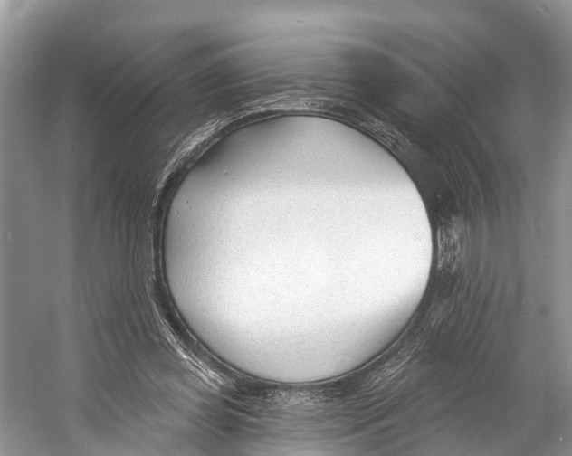 X0000053160349200508081443