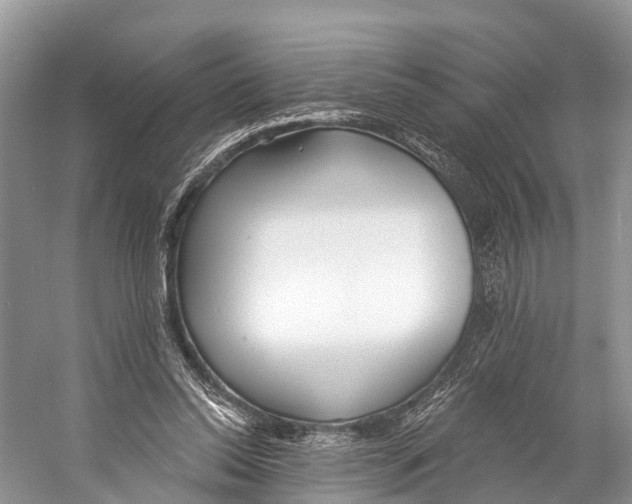 X0000053160350200508081443