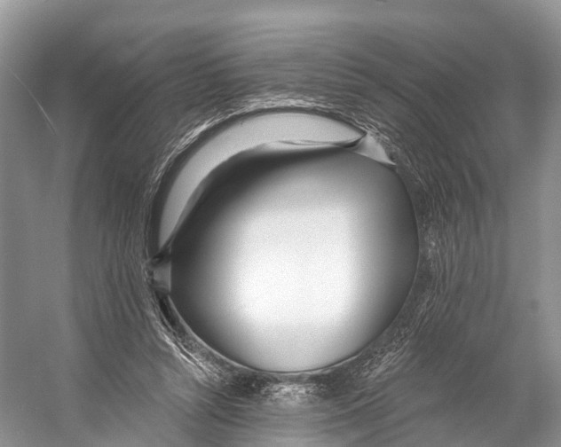 X0000053160352200508081443