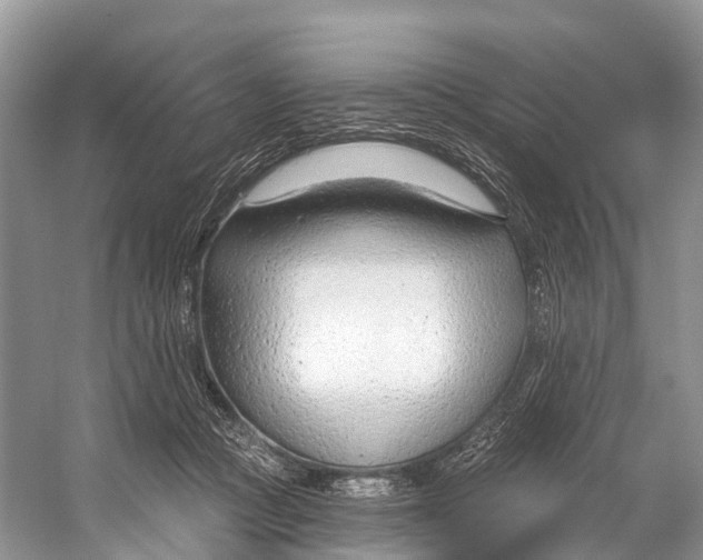 X0000053160361200508081443
