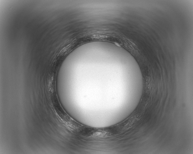 X0000053160364200508081443