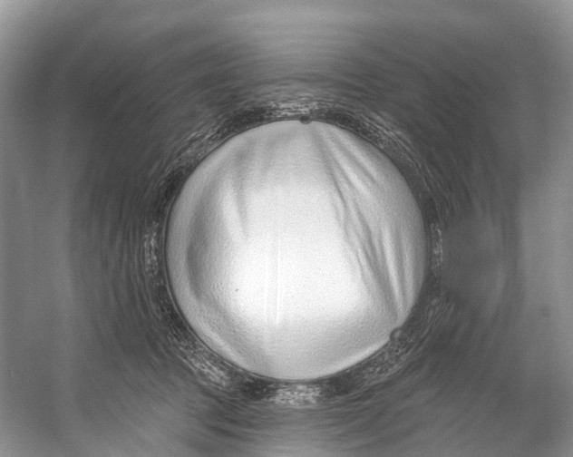 X0000053160369200508081443