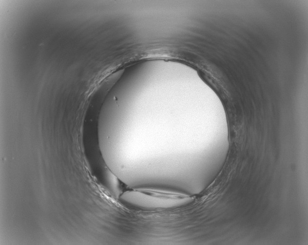 X0000053160385200508081442