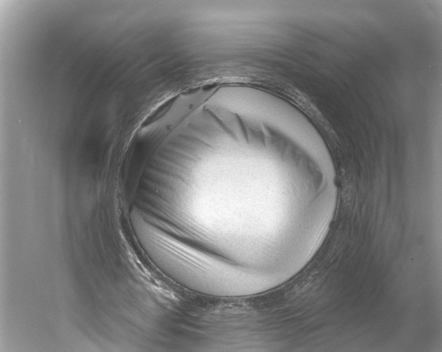 X0000053160386200508081442