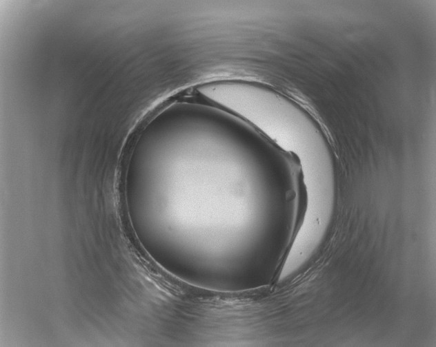 X0000053160387200508081442
