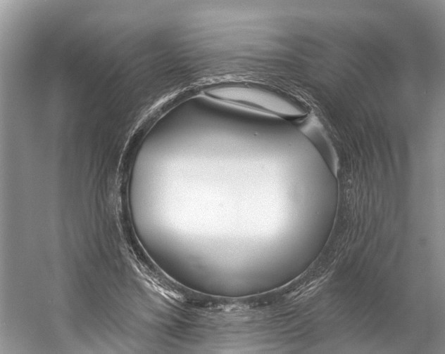 X0000053160395200508081442