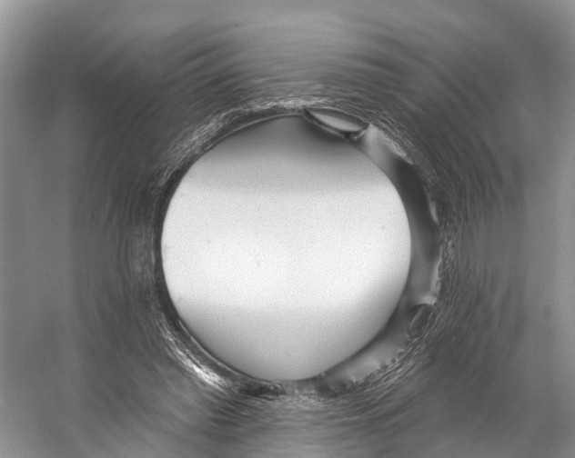 X0000053160397200508081442