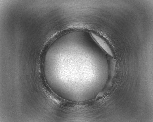 X0000053160399200508081442