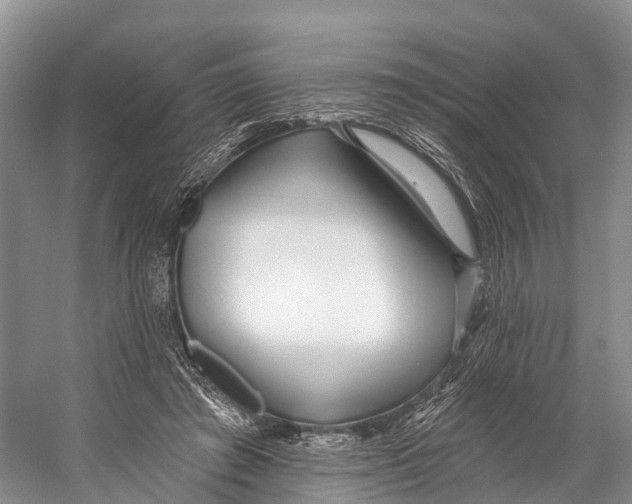 X0000053160401200508081442