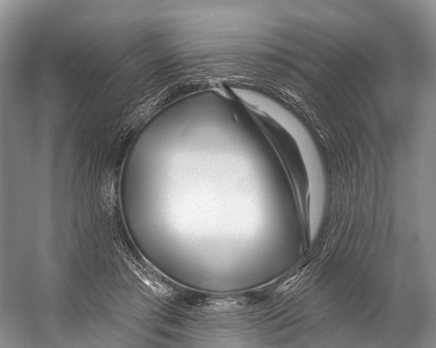 X0000053160405200508081442
