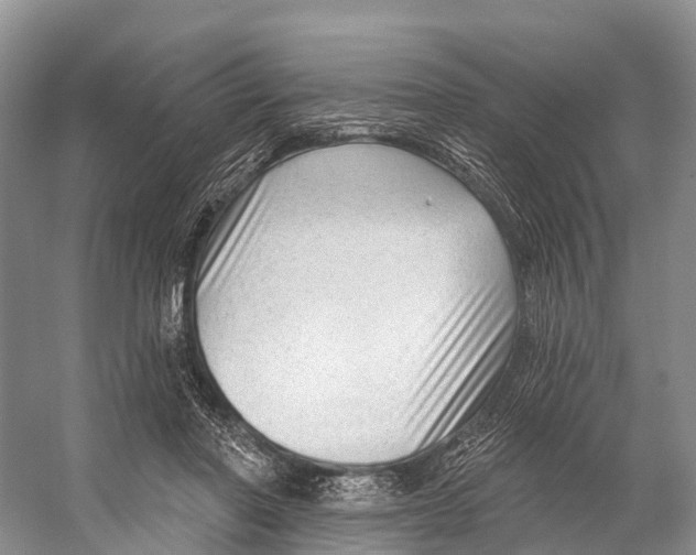 X0000053160406200508081442