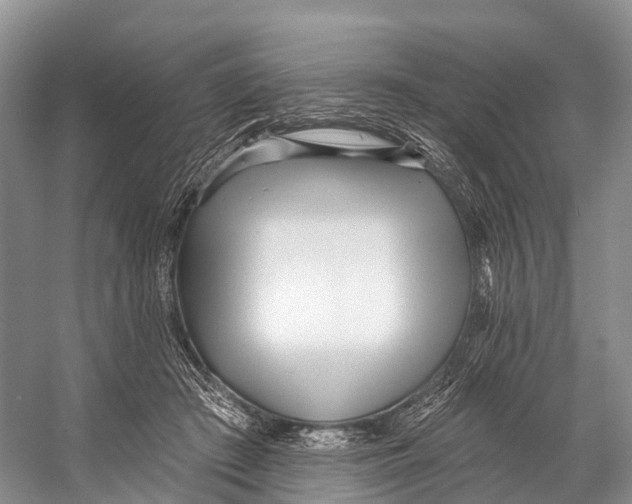 X0000053160409200508081442