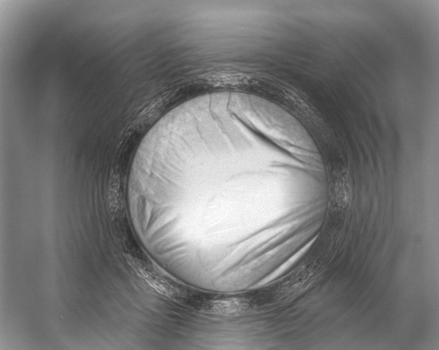 X0000053160411200508081442