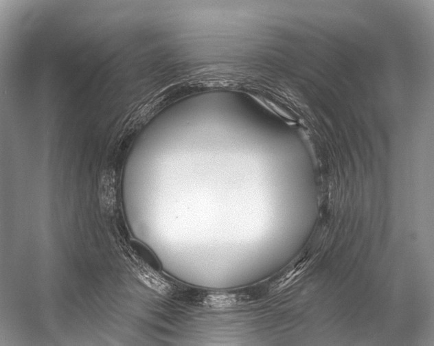 X0000053160413200508081442