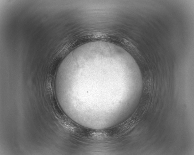 X0000053160415200508081442