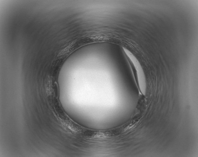 X0000053160416200508081442