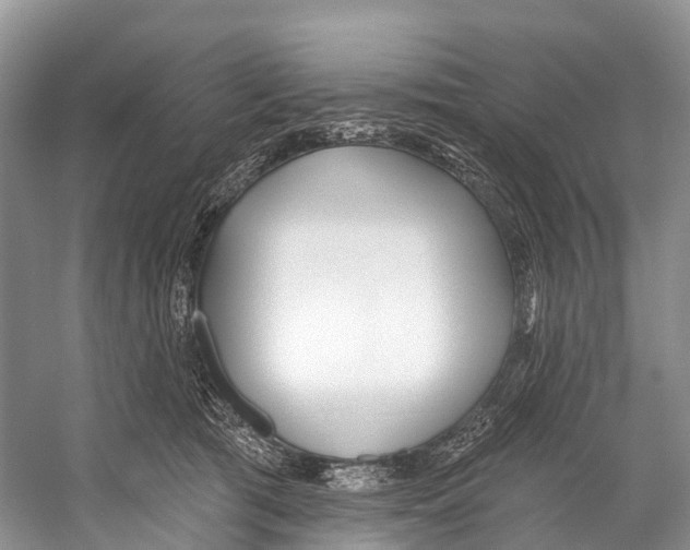 X0000053160417200508081442