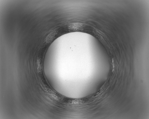 X0000053160420200508081442