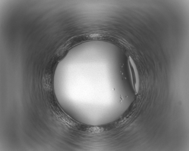 X0000053160421200508081442