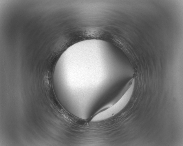 X0000053160424200508081442