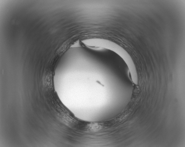 X0000053160425200508081442