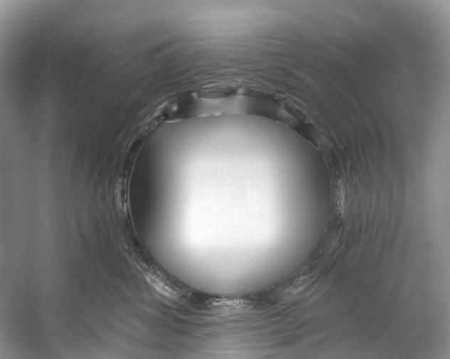 X0000053160428200508081442