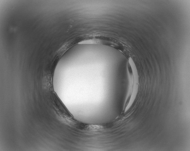 X0000053160429200508081442