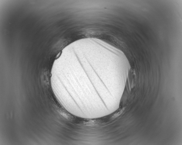 X0000053160430200508081442