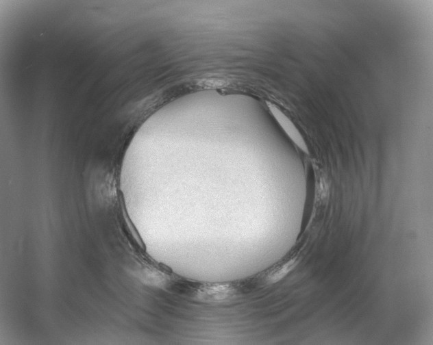 X0000053160431200508081442